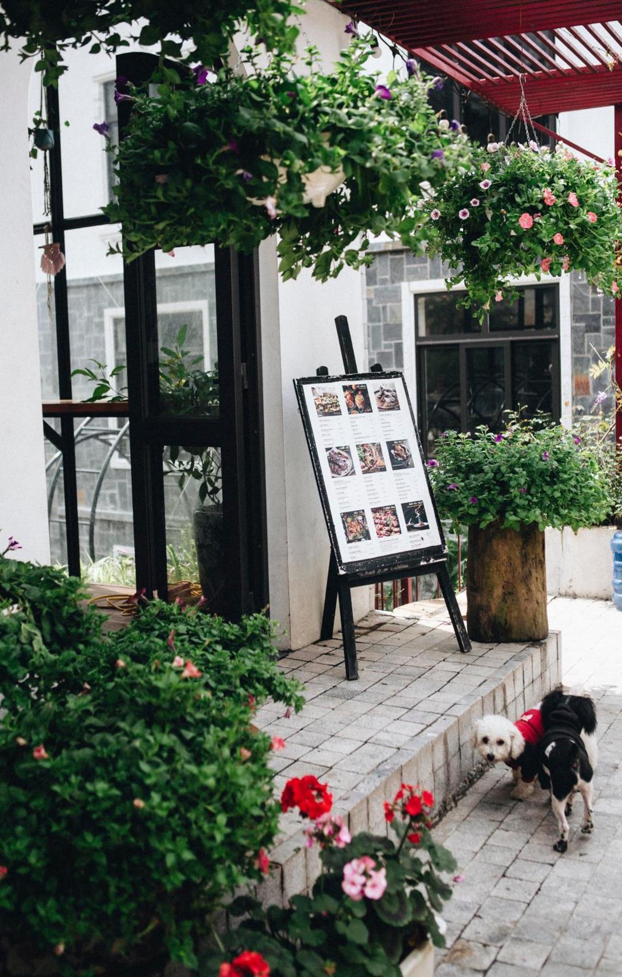 Le Vent Tam Dao Homestay Kültér fotó