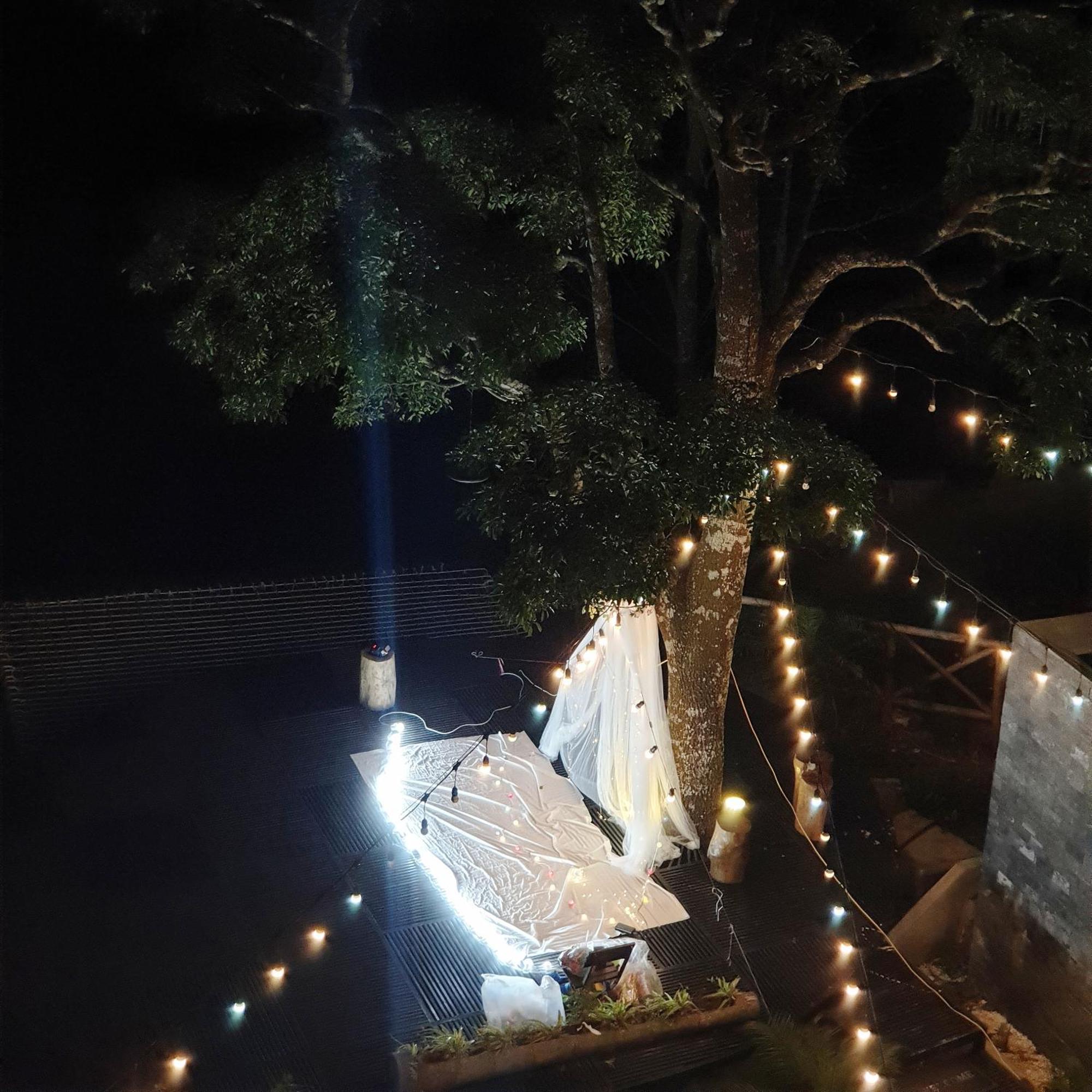 Le Vent Tam Dao Homestay Kültér fotó